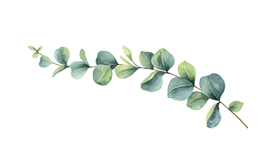 Watercolor illustration of a branch with green leaves.