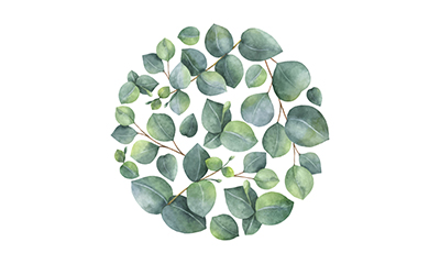 Watercolor illustration of green leaves forming a circle..